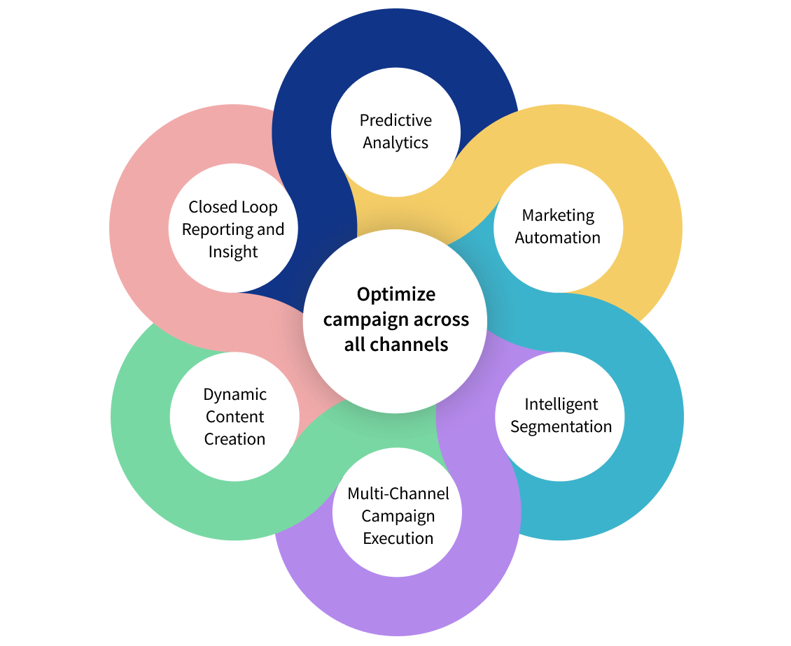 Content Creation & Campaign Execution